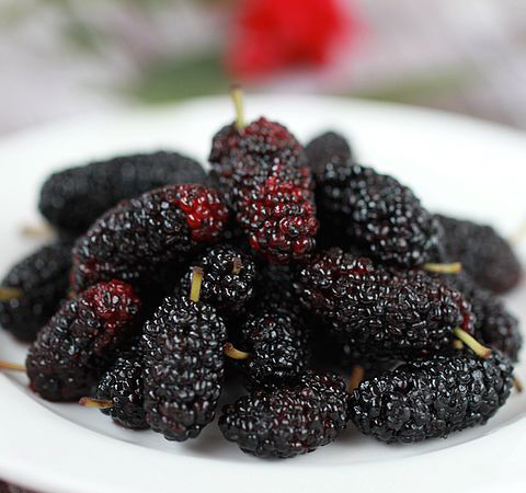 桑葚的作用有哪些 6種功效大盤點