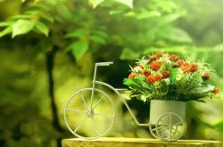 如何保護(hù)眼睛  推薦日常護(hù)眼10個(gè)小竅門