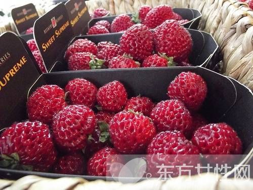 小紅莓是什么？蔓越莓的五大功效