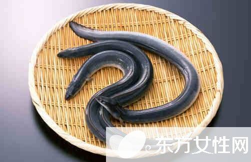 黃鱔怎么做好吃 黃鱔的營養(yǎng)價值