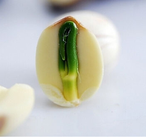 揭蓮心的作用 滋養(yǎng)補虛防癌抗癌