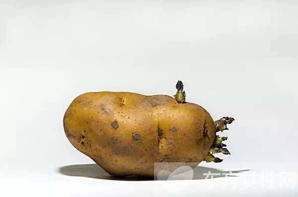 發(fā)芽的土豆能不能吃 如何預防土豆發(fā)芽