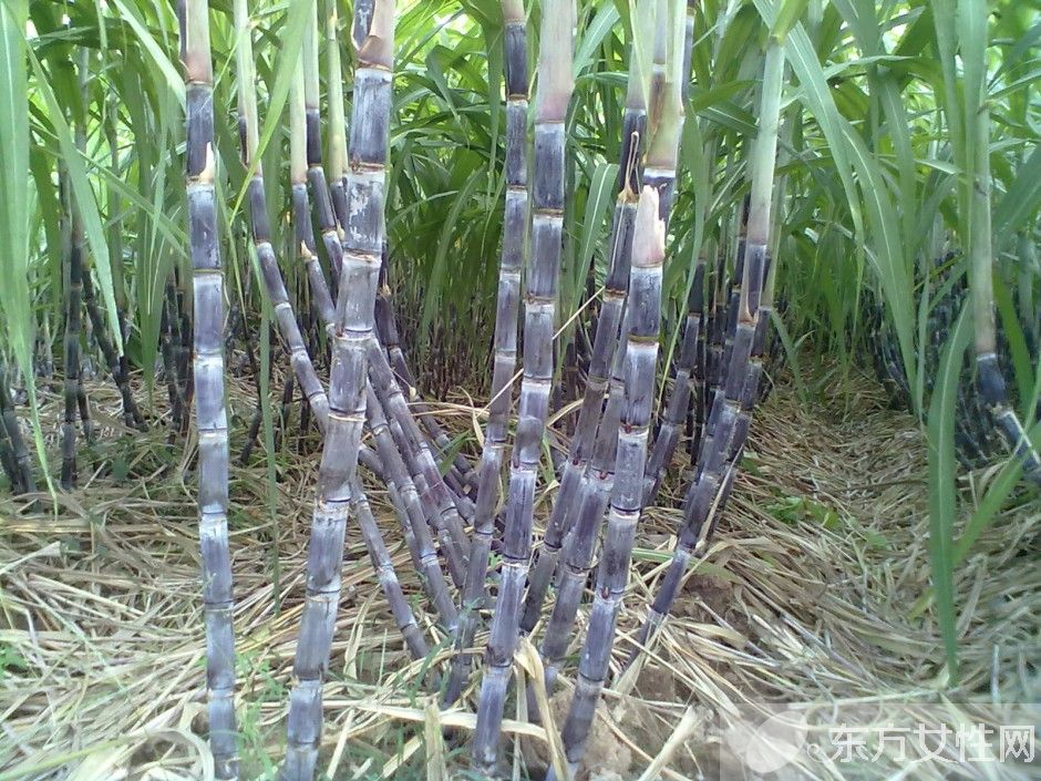 快速解酒的方法有哪些 酒后飲食對(duì)解酒的影響