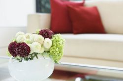 秋冬干燥欲傷身 應(yīng)該如何保持室內(nèi)濕度