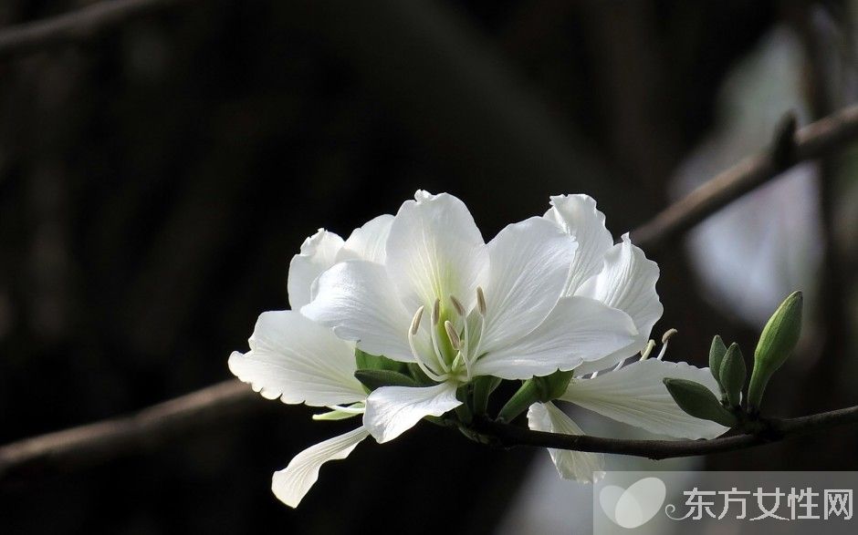 如何保護眼睛  推薦日常護眼10個小竅門