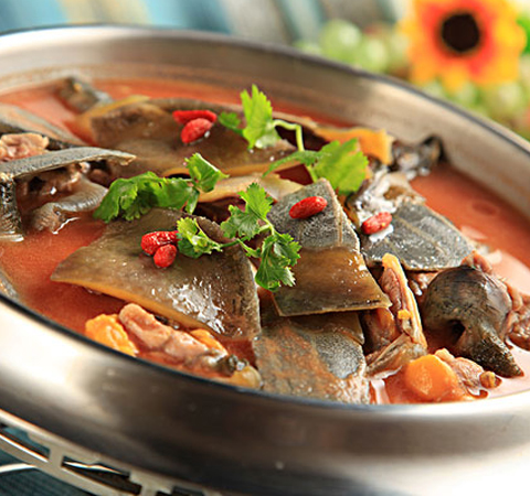 揭甲魚的營養(yǎng)價值 最佳滋補(bǔ)佳品