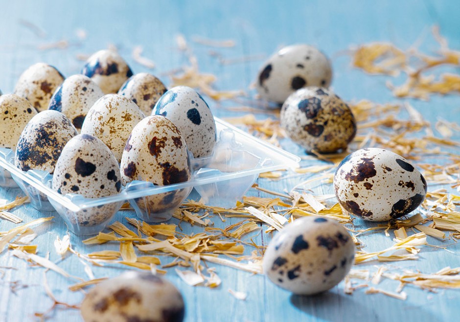 鵪鶉蛋的營(yíng)養(yǎng)價(jià)值有哪些 3個(gè)食譜教你做出美味鵪鶉蛋