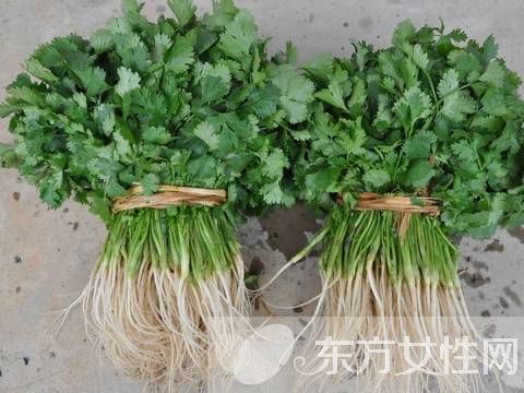 香菜煮水的功效有哪些 香菜煮水還能祛斑