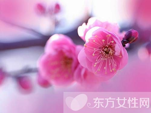 桃花什么時(shí)候開 你了解桃花嗎