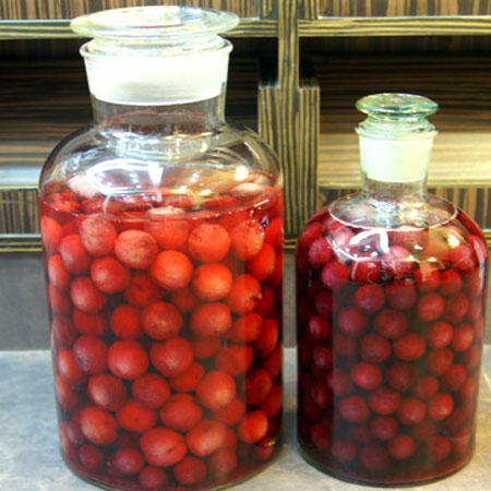 楊梅泡酒的功效有哪些 楊梅泡酒的配方