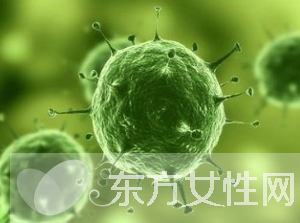 巨細胞病毒是什么 巨細胞病毒感染的癥狀