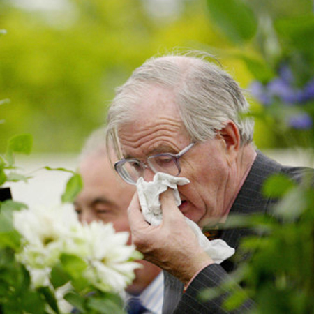 春天花粉過敏怎么辦 盡量少 沾花惹草
