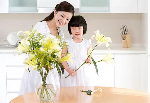 家中養(yǎng)什么花好 這些花即美觀又舒心養(yǎng)生