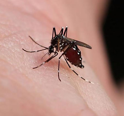 10個(gè)最實(shí)用生活小竅門 瞧瞧你知道哪幾個(gè)