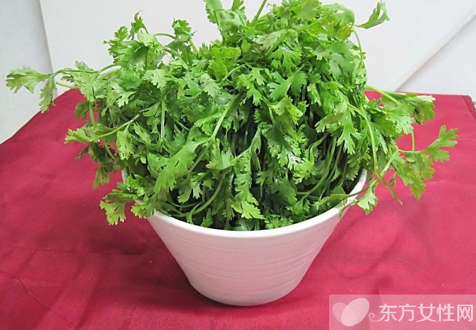 香菜的功效與作用 香菜的副作用有哪些