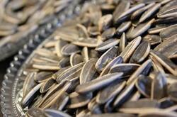 瓜子營養(yǎng)價(jià)值有哪些呢 瓜子的功效作用是什么