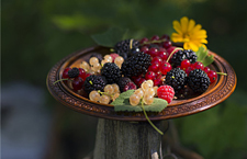 桑果的功效有哪些 體質偏寒需注意