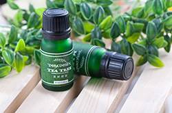 茶樹(shù)精油的功效與作用 茶樹(shù)精油的四大使用方法
