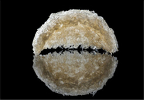 燕窩的吃法 這六種吃法有助于保健哦