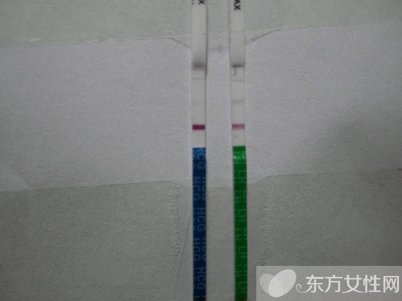 驗孕試紙的使用方法 驗孕試紙多久能測出來