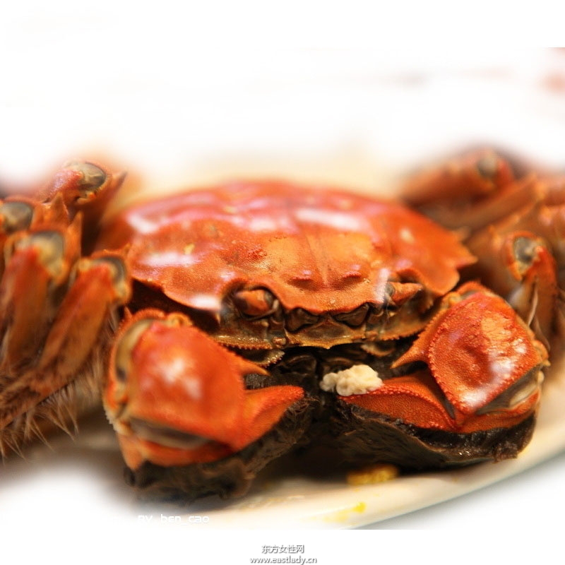 炒湖蟹是什么地方的菜 你知道做法嗎