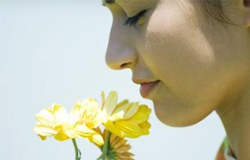 春天花粉過敏怎么辦 盡量少 沾花惹草