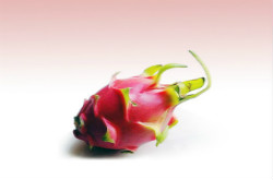 火龍果吃了會(huì)上火嗎 吃火龍果的注意事項(xiàng)