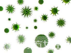 巨細胞病毒是什么 巨細胞病毒感染的癥狀