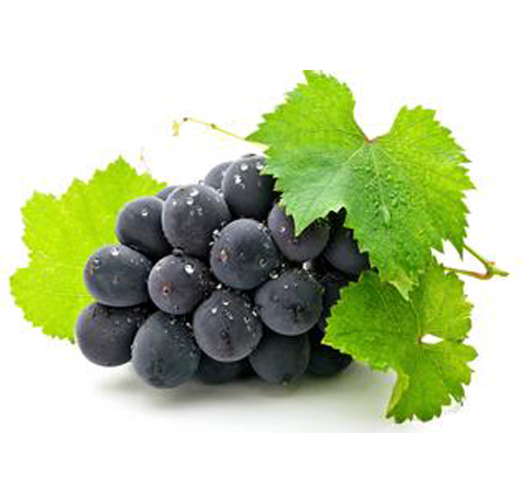 家庭自制葡萄酒的方法 7步教你釀出美味葡萄酒