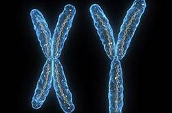 什么是染色體檢查 如何降低染色體異常幾率