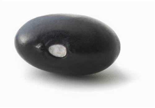 黑豆的作用有哪些 強腎固腎又美顏