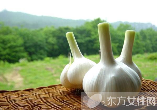 夏天野外室內(nèi)驅(qū)蚊方法 幾個妙招令蚊子消失的無影蹤