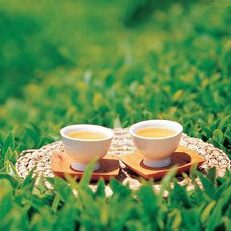 綠茶的好處 想不到喝綠茶竟有這功效