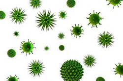 巨細(xì)胞病毒是什么 巨細(xì)胞病毒感染的癥狀