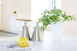 怎樣去除室內(nèi)異味呢 去除室內(nèi)異味實(shí)用妙招