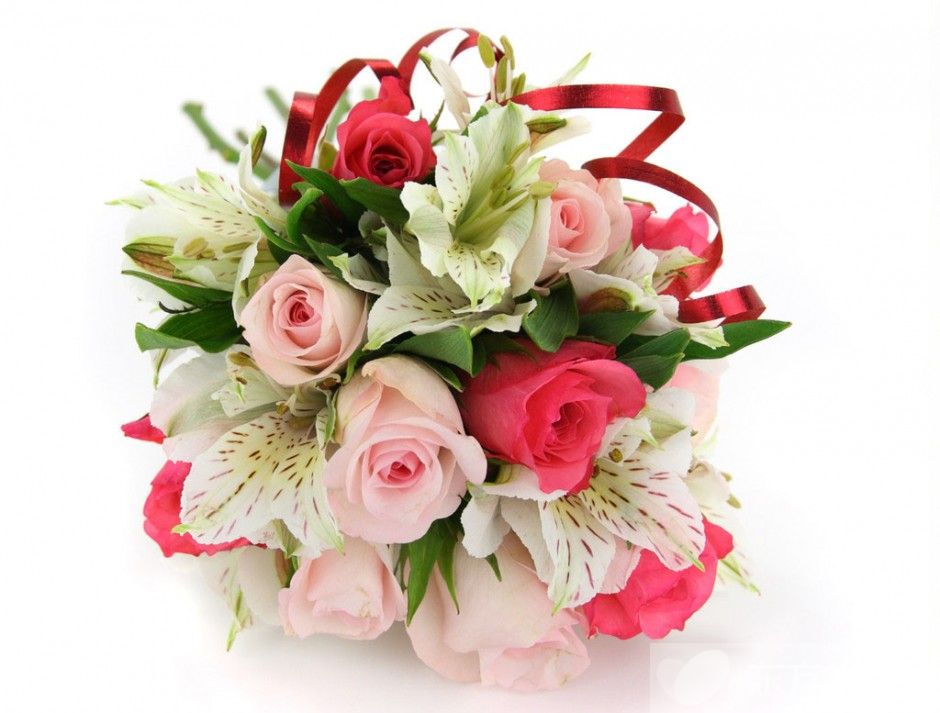 33朵玫瑰代表什么 玫瑰花的花語是什么