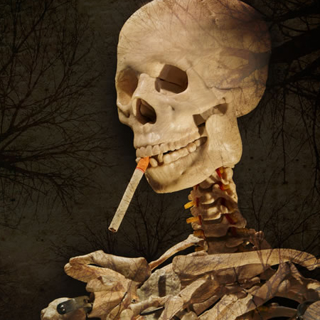 飲食與健康知識(shí)大全 不可不知的生活飲食常識(shí)