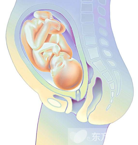 懷孕可以同房嗎 兩大要點告訴你