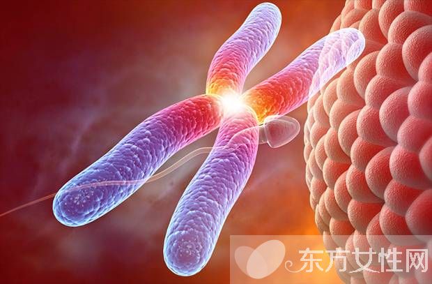 什么是染色體核型分析 染色體核型分析報(bào)告怎么看