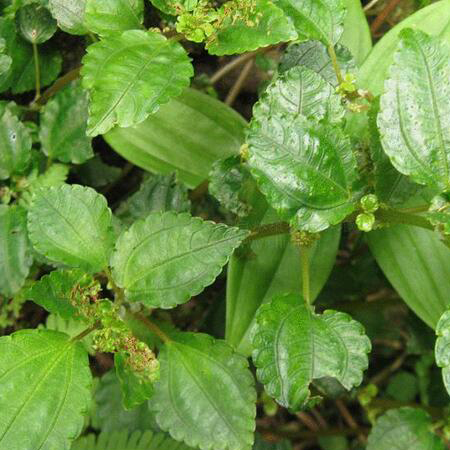 節(jié)能綠色 學(xué)會這些低碳生活小竅門