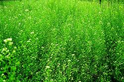 如何緩解眼睛疲勞 吃什么對(duì)眼睛好