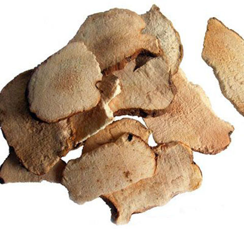 揭密土茯苓的副作用 過(guò)敏者需謹(jǐn)慎