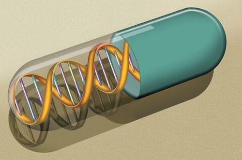 維他命b3有什么功能作用 揭維他命B3含量前十食物