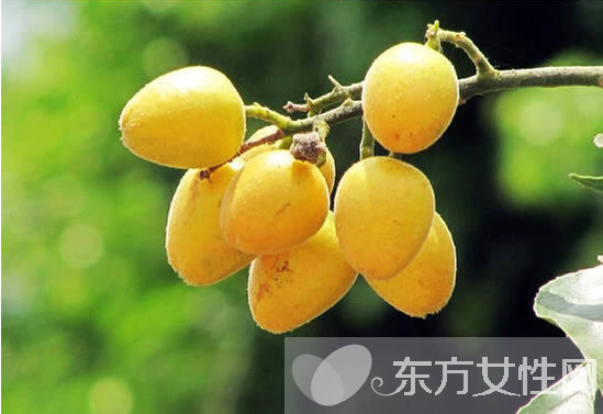 黃皮的功效與作用有哪些 教你如何挑選黃皮果