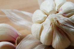 吃大蒜的好處有哪些呢 有著怎樣的功效作用