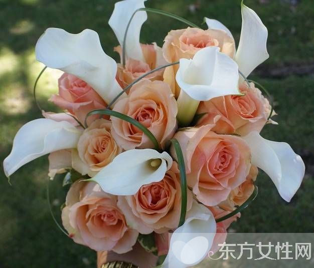 玫瑰的花語是什么 玫瑰的藥用價值居然這么龐大