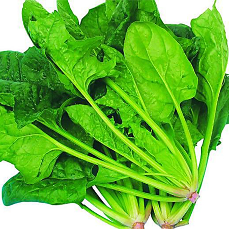 夜盲癥是缺什么引起的 夜盲癥吃什么好