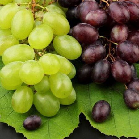 葡萄干上火嗎 怎么樣挑選葡萄干