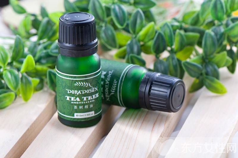 茶樹精油的功效與作用 茶樹精油的四大使用方法