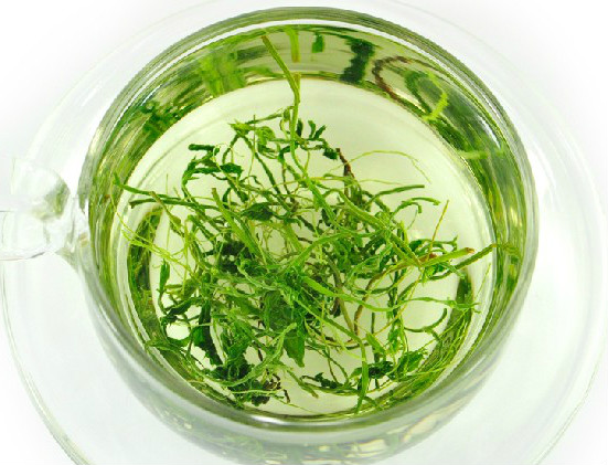 絞股藍(lán)泡水喝的功效 絞股藍(lán)食用方法